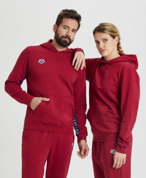 Maglioni Donna Arena Icons Solid Hooded Sweatshirt Bordeaux Blu | 37245NSXQ