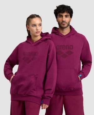 Maglioni Donna Arena Logo Hooded Sweatshirt Colorate | 84571MZPJ